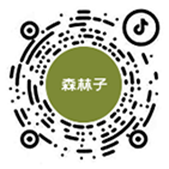 品牌抖音号
